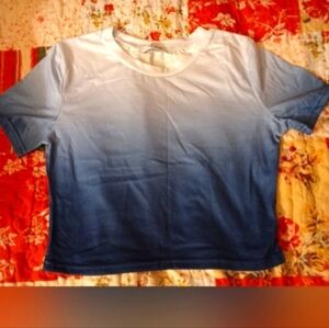 SOLD 🚨Blue Ombre Crop Top